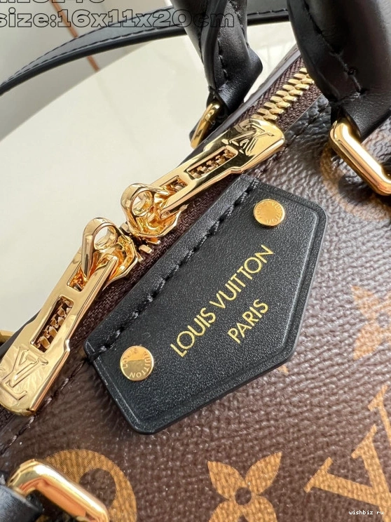 WIS 20 Speedy Louis Trunk Vuitton 0710